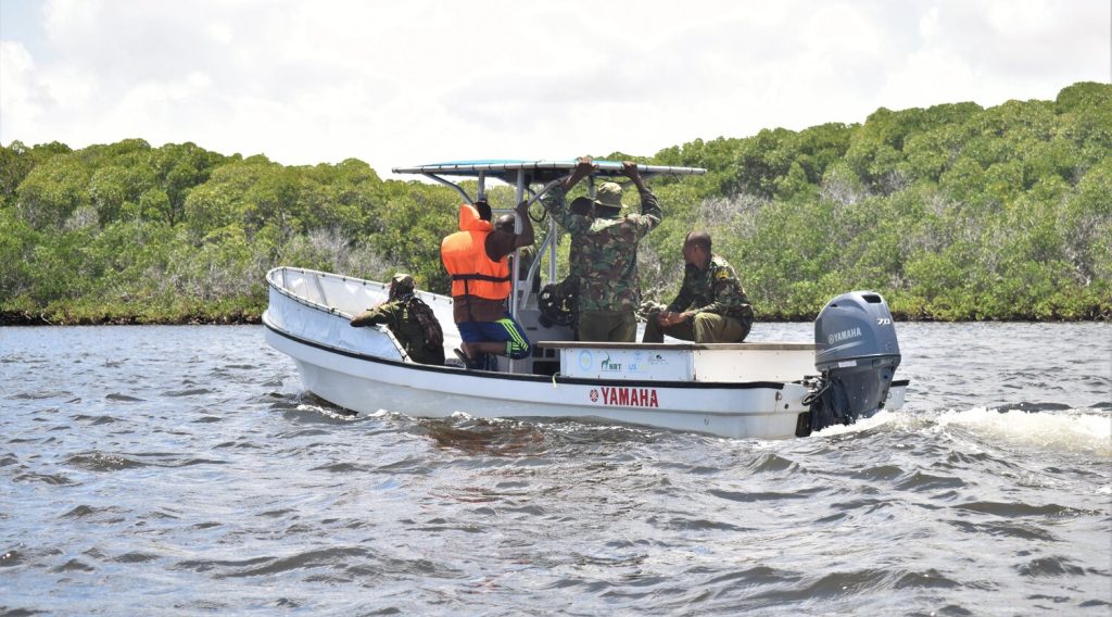 Rangers of the Sea: Protecting Our Coastal Treasures