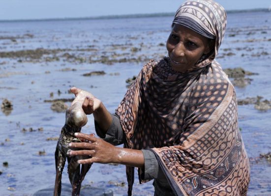 120230038_3502806339786402_7781007229692293804_n